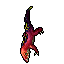 Adult Goanna